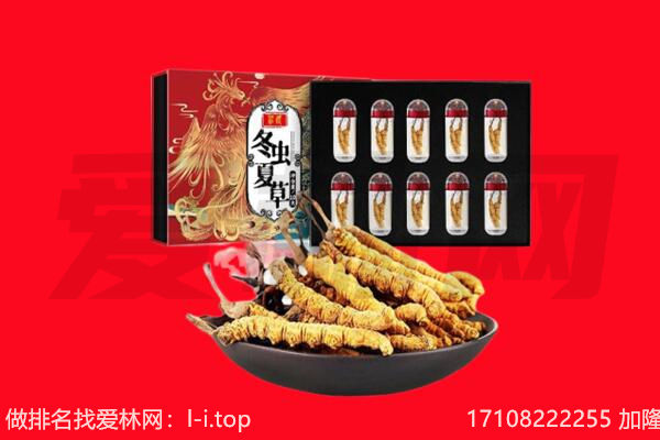 阳泉平定县回收虫草.jpg